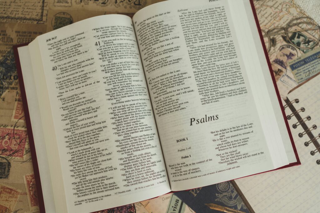 the books of the bible